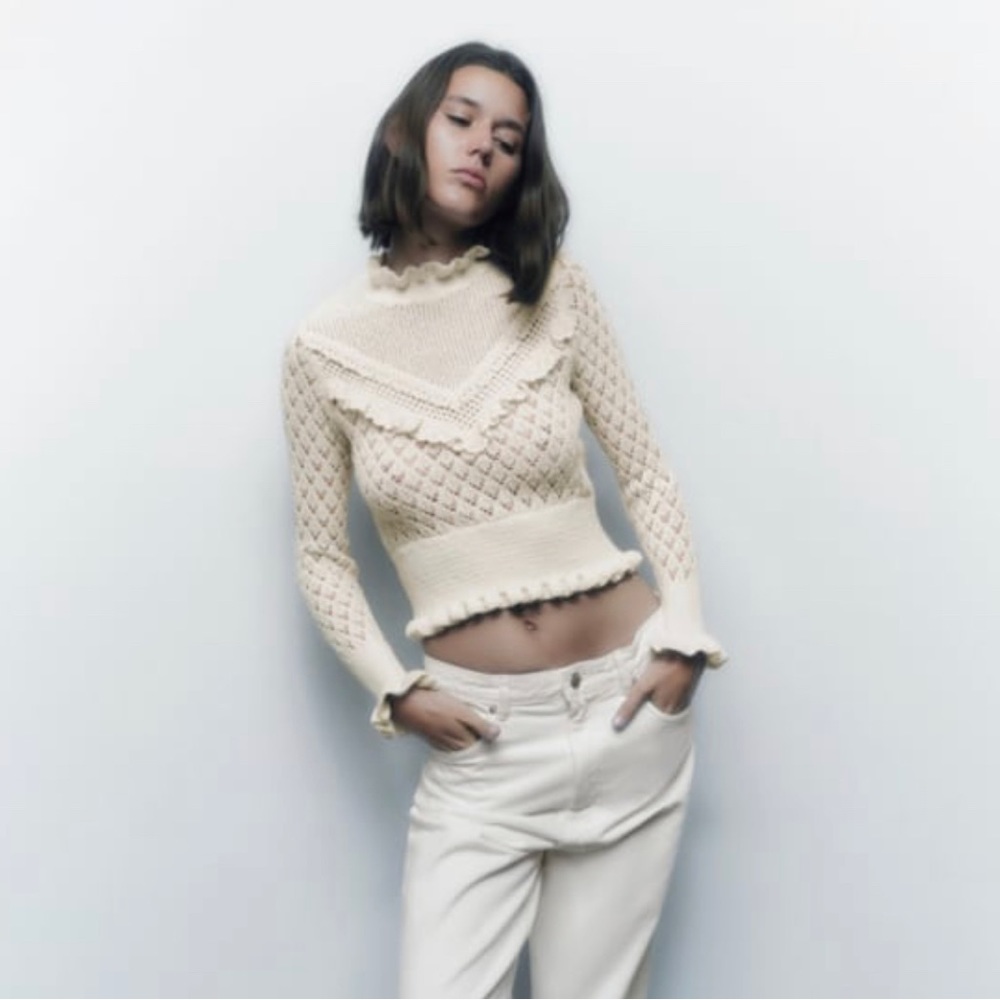 COPY - Zara Brand new pointelle sweater - Picture 3 of 4